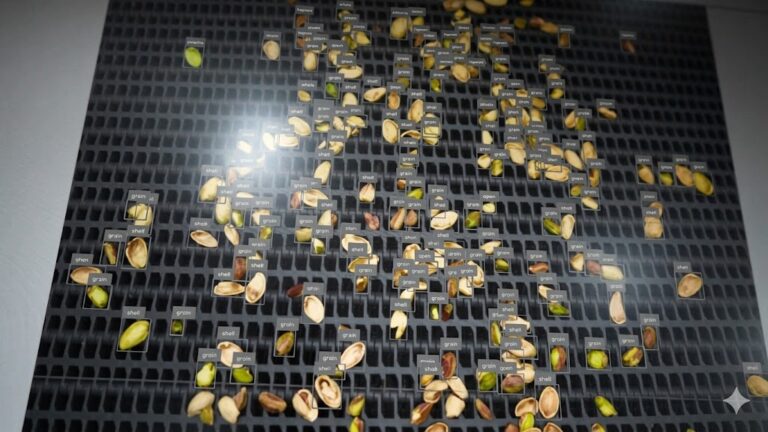 Sistema de Biyectiva para control de calidad de frutos secos mediante inteligencia artificial y sensores hiperespectrales