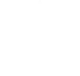 Logotipo de Singular Aircraft SL